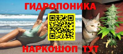 a pvp Заводоуковск