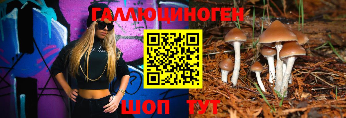 Кудымкар  Галлюциногенные грибы Psilocybe  Вход с VPN 
